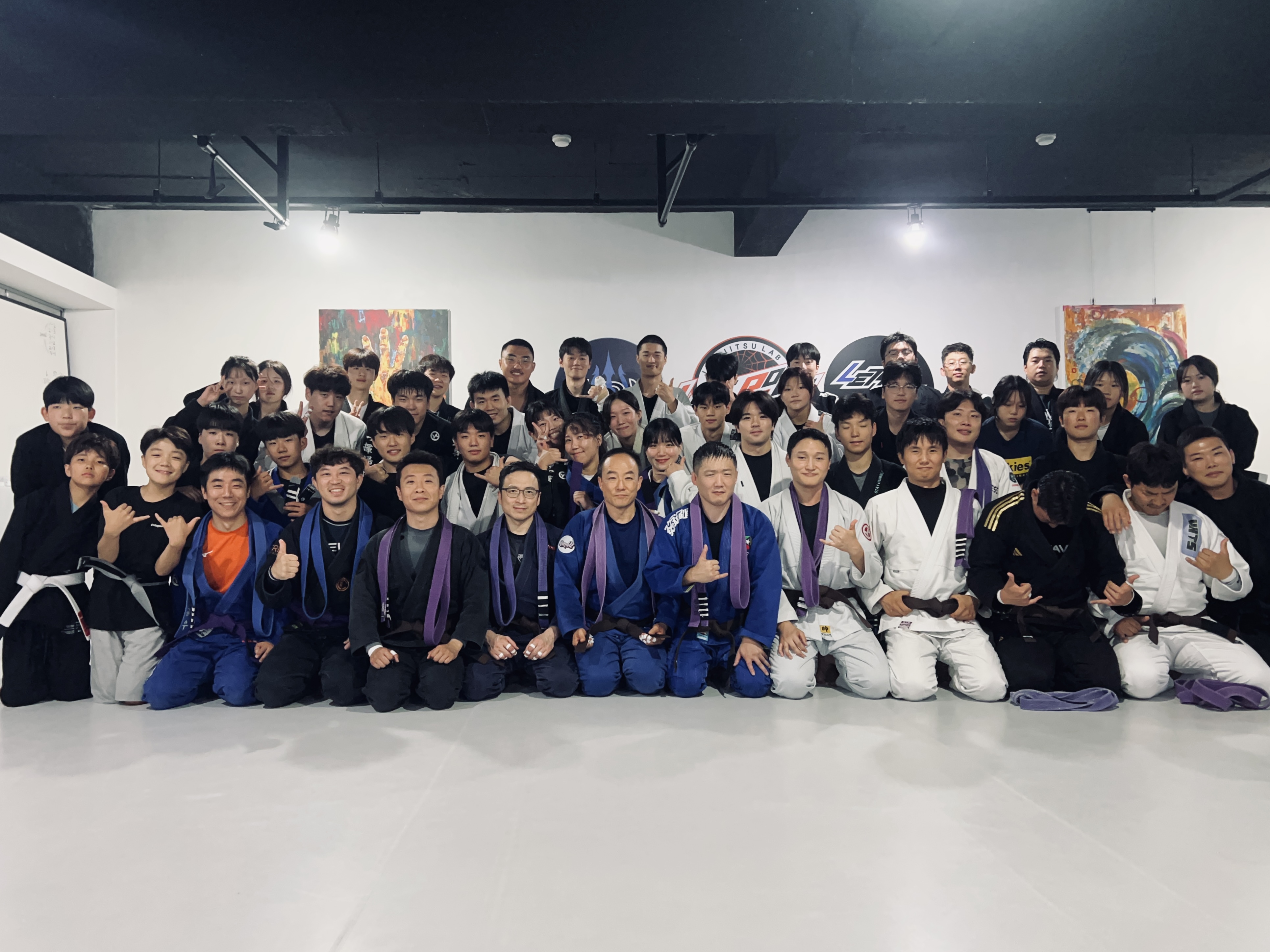 Adult jiu-jitsu